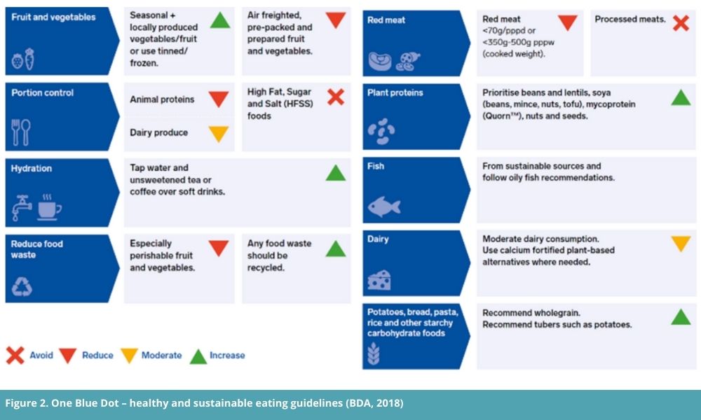 Figure 2. One Blue Dot – healthy and sustainable eating guidelines (BDA, 2018)