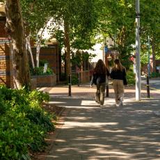 People walking through tree lined areas using the Tree Equity Score to show the benefits of trees to health and wellbeing