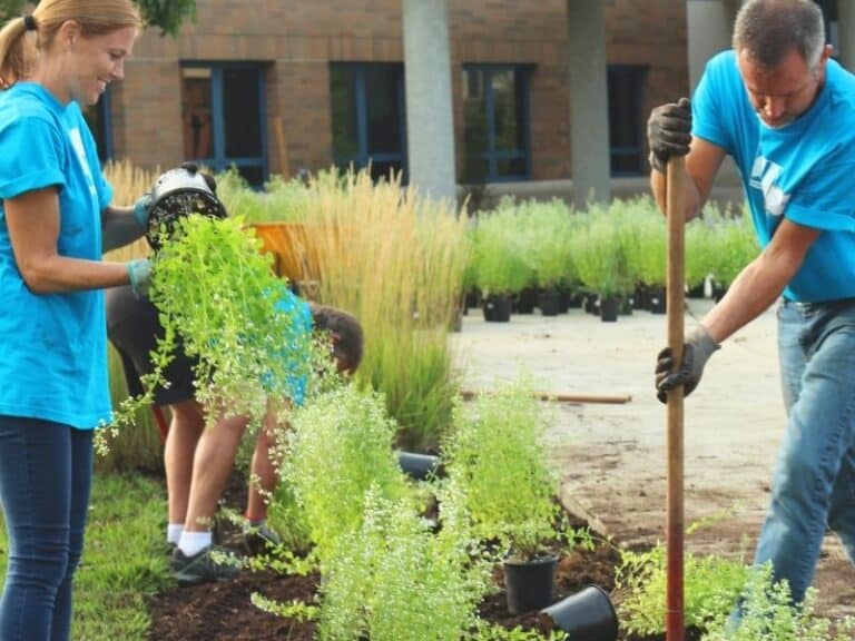 Gardening for health