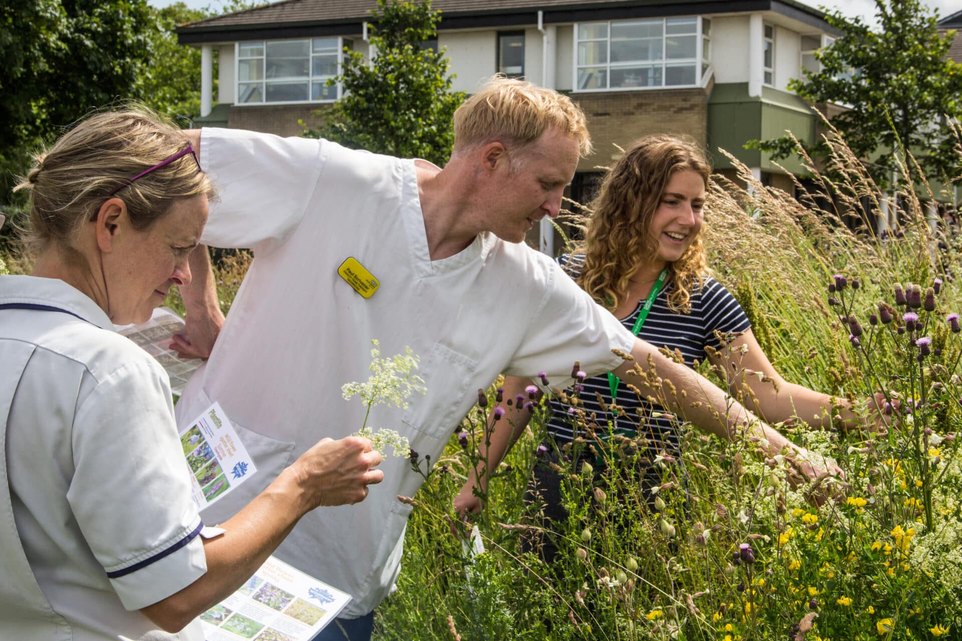 Nature recovery rangers helping at an NHS Green space site