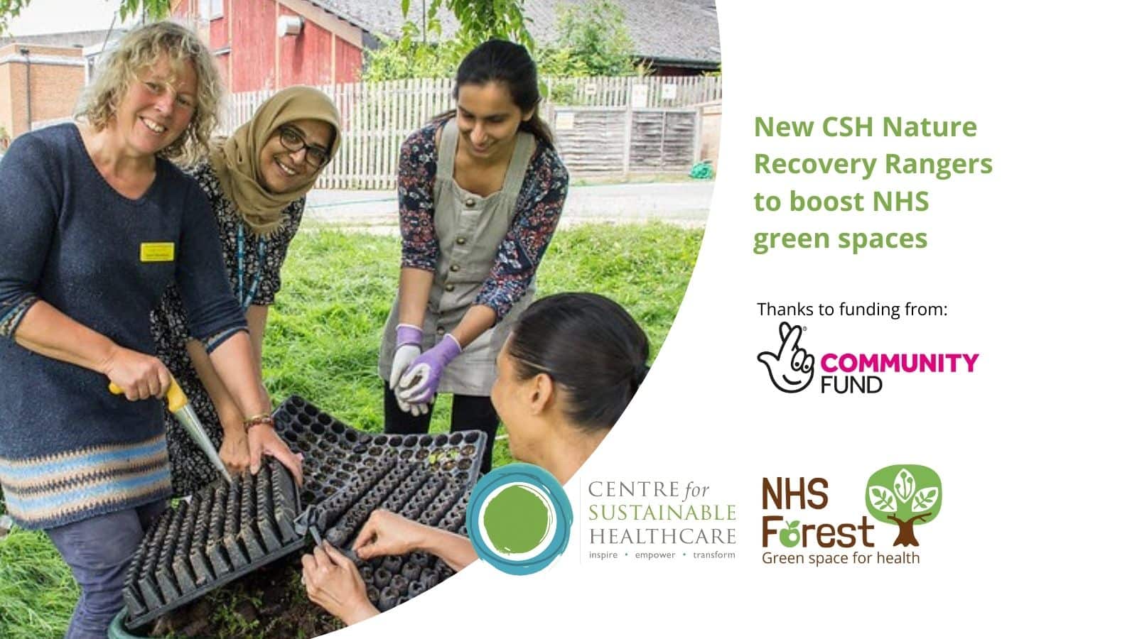 New CSH Nature Recovery Rangers to boost NHS green spaces